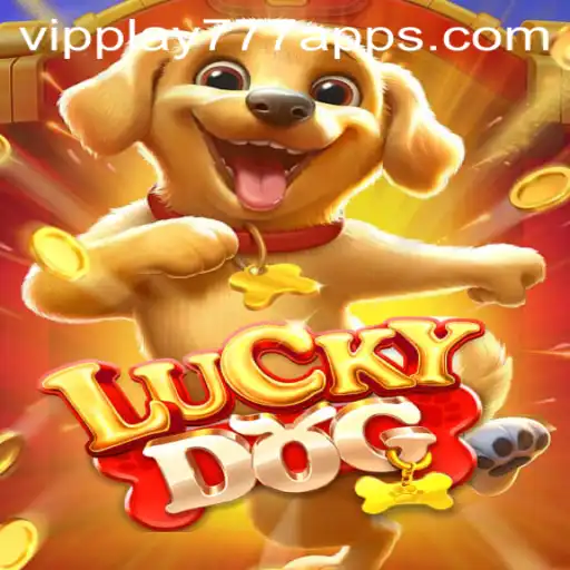Exploring the Excitement of LuckyDog and VIPPlay777 in Today's Gaming Landscape